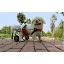강아지휠체어 강아지보행기 애견 반려견 보조기 고양이 휠체어 뒷다리 재활, l, 빨간색