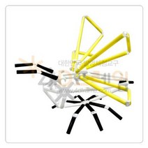 [포디프레임] 곤충(입체)-벌