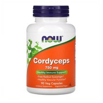 NOW Foods 버섯 동충하초 Cordyceps 750mg 90캡 1개, 기본
