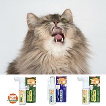 고양이 구내염 약 치주염 피부염 치료제 알러지 스프레이 코쿤펫 4종, 캣닢향