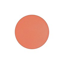 ACM MAC 파우더 블러쉬 프로 팔레트 리필 팬 선바스크 181491