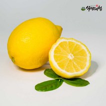 레몬60개 최저가 판매 순위