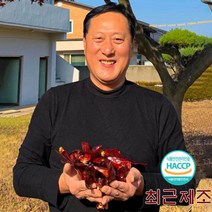 [경북농협] 2022년산 봉화 파인토피아 햇고추가루 500g 1kg (보통맛 매운맛), 보통맛 (500g)