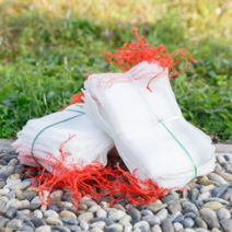 DGM 다용도 과일 그물망 25X15 양파 포도 채소 보관망, 과일보호망BL02793(25X15)