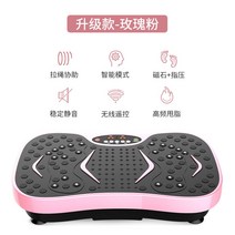 덜덜이 밸런스 슬리머 운동기 코어운동 슬리밍 진동기 보드 음파진동기 고주파 다이어트 운동기구, E