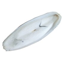 벅스앤미 갑오징어뼈 국내산 ( 달팽이 칼슘 보충 ), 1개, 100g
