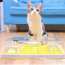 애블리즈 아기 고양이 난이도조절 먹이퍼즐 1탄 2탄 냥냥펀치 토이볼 간식 먹이 장난감, 먹이퍼즐2탄, 2단계