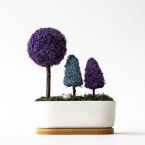 스칸디아모스 포레스트 화분, 퍼플