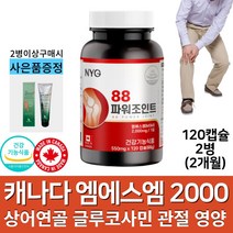 캐나다 수입 엠에스엠 MSM 2000 mg 상어연골 글루코사민 운동 선수 어깨 손목 발목 허리 무릎 팔꿈치 조인트 관절 영양제 정제 msn 함량높은 제품 식 약 처 인증, 2병