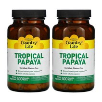 컨트리라이프 파파야 500정 츄어블 누룩곰팡이 파파인 알파 아밀라아제 소화효소 2개