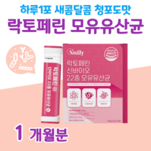 30대 직장인 회사원 유산균 신 바이오틱스 락토페린 유산균 선물 프락토 올리고당 프로 바이오틱스 유산귱 하루 1포 청포도맛 비피도 박테리움 롱검 비피덤 바실러스 가세리 루테리, 1달분, 2000mg x 30포 (하루 1포)