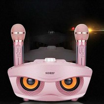 기계 가정용 노래방 이동식 풀 세트 블루투스 스피커, 골드 스탠다드 에디션