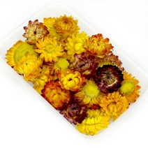 조화 봄단장 인테리어 웨딩 파티 핑크뮬리diy 진짜 자연 말린 꽃 마른 식물 국화 향 촛불 수지 보석 비누 만들기 diy 공예 액세서리, j