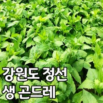 국산 강원도 정선 곤드레 나물 2kg 4kg, 건 곤드레 나물_1kg, 1개