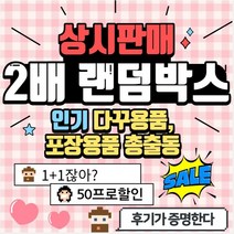 [아림달님] 상시판매 2배 랜덤박스 떡메모지 인스 도무송 다꾸랜덤박스 문구랜덤박스 어린이선물 학생선물, 떡메모지 위주, 6. 모든캐릭터 믹스