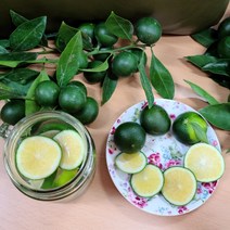 제주 청귤 풋귤 여름귤 청귤청 10kg 제주도 감귤 서귀포 산지직송, 제주 청귤 5kg