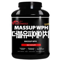 매스업WPH/헬스보충제/프로틴/단백질/근육증가, 1, 쿠팡하울 1