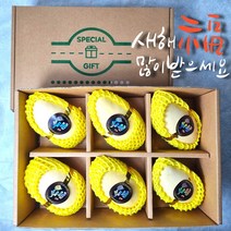 23년 프리미엄 과일 설 선물 세트 망고 애플망고 레드향 혼합세트, 망고 6과 세트