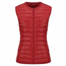 레드페이스 REWFVEF19553 프로라이트튜브테크구스라운드우먼베스트