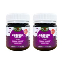 PaiOra Bilberry 50000 1-A-Day 파이오라 빌베리 50000 하루한알 60캡슐 2팩