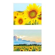 집에걸어두면좋은그림 해바라기 거실꾸미기 침실풍수 개업선물 예쁜액자 벽장식, 캔버스액자 (옆면검정)
