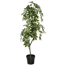 이케아 150cm 초대형 인테리어화분 나무조화 화분지름 21~24cm 집안 카페, 대엽홍콩야자 105.379.96