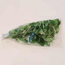 라우람 RAU RAM 동남아 채소, 1개