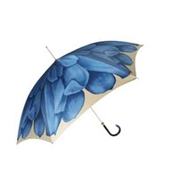 Pasotti 파소티 우산 블루 달리아