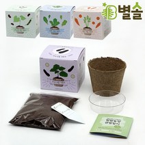 미니 화분 키우기 텃밭 관찰일지 유치원 초등학교 수업, 당근