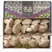 [프레시퍼스트] 송화버섯 1kg 선물세트, 없음