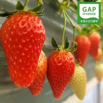 논산 킹스베리 대왕 생딸기 산지직송 GAP 딸기 설향 고당도 왕딸기, 6. 왕왕특 800g (55g 이상) 예약판매