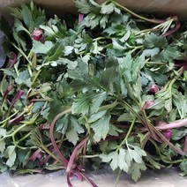 방풍나물 구례 지리산골 방풍 나물 봄나물 꽃나물 삼잎국화나물, 1박스, 꽃나물 2kg