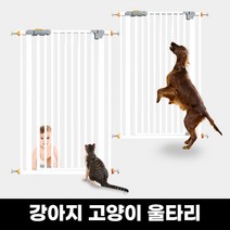 고양이문펜스 TOP 제품 비교