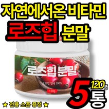 로즈힙 100% 로주힙 퓨레 파우더 자연 에서 온 비타민 rose hip 가루 폴라드산 건강 앤 분말 타먹는 로쥬힙 차 물 (스푼 증정), 120g X 5통 (할인적용)