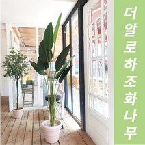 더알로하 극락조 인조나무 여인초 조화 120cm 170cm 인테리어 대형 화분, 극락조170