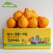 우체국쇼핑 고당도 제주 한라봉 5kg소과(24~32과)