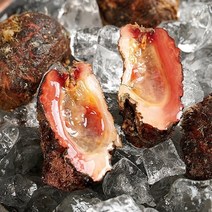 통영 돌멍게 1kg 4-7미x1