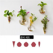 유리 꽃병 녹라수배 식물 벽 작은 프레시 미니 스몰 용기 걸이 어항 화분 벽 걸이 투명, 콤비세트2+헴핀*5+스톤*5