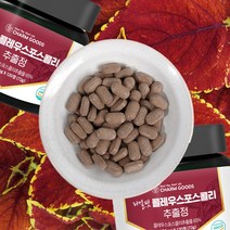 콜레우스포스콜리 추출물 타블렛 120정 초저분자 피쉬콜라겐 엘라스틴 건조효모 MCT오일 성분 함유, 1통