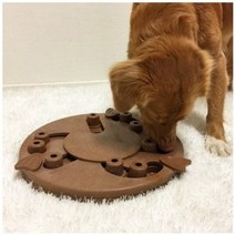 니나오토슨 도그 워커 강아지 IQ 장난감 지름 35cm x 높이 5.1cm, 9개