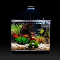 스타터 수족관 키트 5.8L(1.87갤런) Rockery 배경 장식 및 색상 변경 조명 디스크 포함 500015, D241