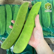 국내산 생 작두콩 4kg 내외, 단품