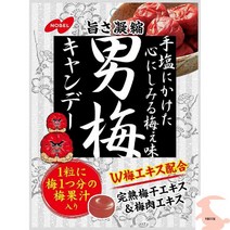일본소금사탕 얼음사탕 소금사탕 일본사탕 노벨 남자 매실 80g × 6 봉지, 6개, 6개,80g,노벨 남자 매실 80g × 6 봉지