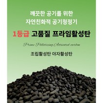 조립 활성탄 3Kg 새집증후군청소 베이크아웃 야자활성탄 어항필터 음식물쓰레기필터 음식물처리기필터 실내탈취제 페인트냄세 어항활성탄 새가구냄새 대형수조 어항청소, 조립활성탄 3Kg