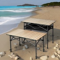 캠핑테이블 접이식 야외 바베큐 백패킹 하이킹 캠프 피크닉 신제품