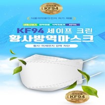 SAFECLEAN(세이프크린) KF94 사계절 미세먼지 방역 대형 마스크, 200매