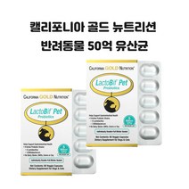 캘리포니아 골드 뉴트리션 락토비프 50억 펫 유산균 베지캡슐 60개 X2개 반려동물 반려견 반려묘 강아지 고양이 유산균