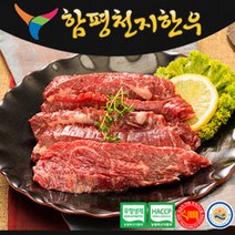[냉장][함평축협 천지한우] 친환경 무항생제 1+등급 채끝 300g