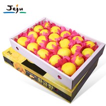 우리네농산물 제주 황금향 3kg 5kg / 로얄과 / 선물용 / 제주직배송 주문후익일출고