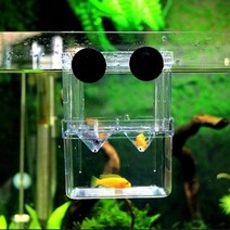 엄마의쇼핑 어항 격리부화통 소형 열대어 구피 치어 암컷 격리 치어통, 단품